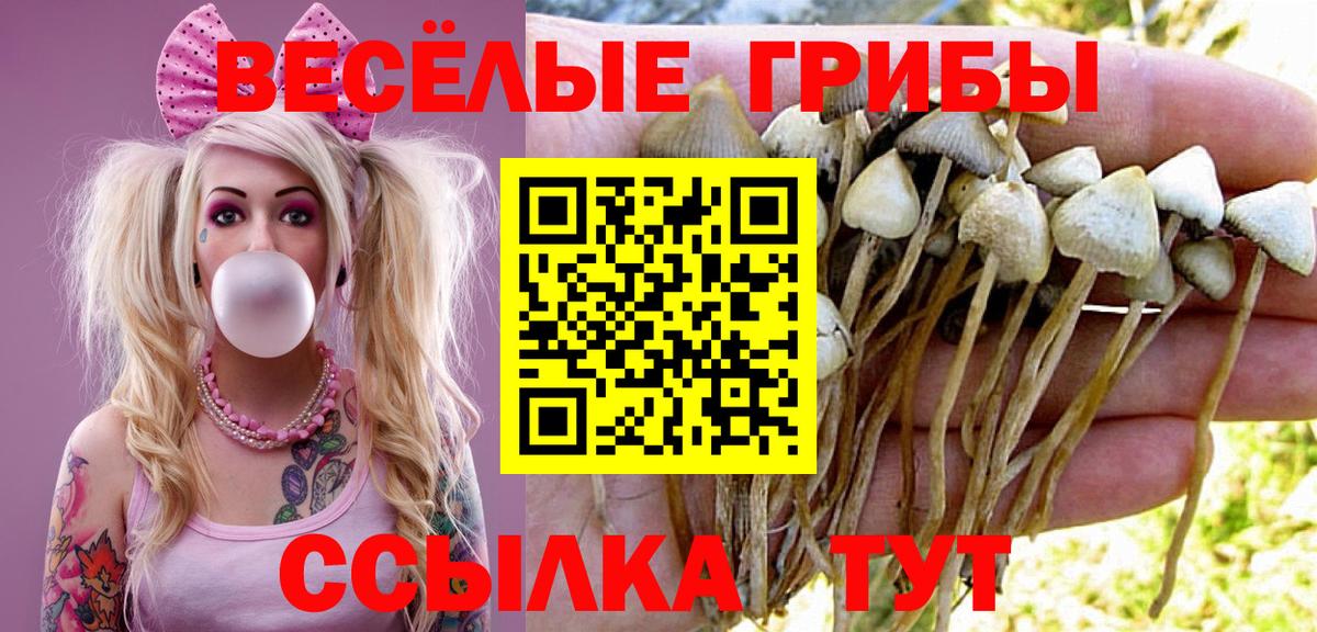 Галлюциногенные грибы Psilocybe  Вход с VPN  Псилоцибиновые грибы Cubensis  Нурлат 